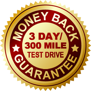 3-300guaranteelogo3